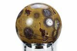 Polished Morgan Hill Poppy Jasper Sphere - California #360365-1